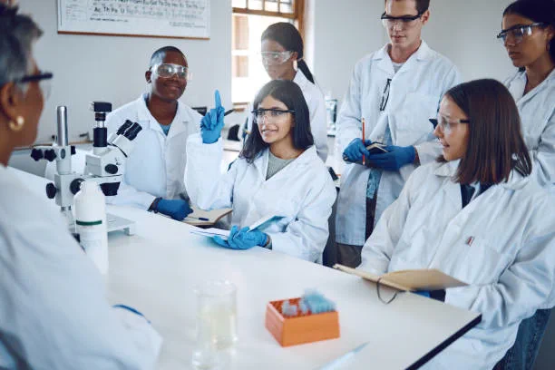 A session led by an expert for a group of professionals